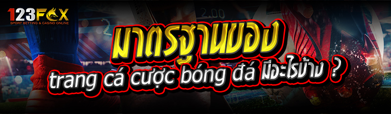 มาตรฐานของ trang cá cược bóng đá มีอะไรบ้าง ?