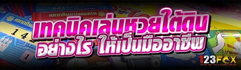 เทคนิคเล่นหวยใต้ดิน อย่างไร ให้เป็นมืออาชีพ