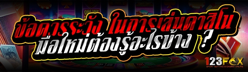 ข้อควรระวัง ในการเล่นคาสิโน มือใหม่ต้องรู้อะไรบ้าง ?